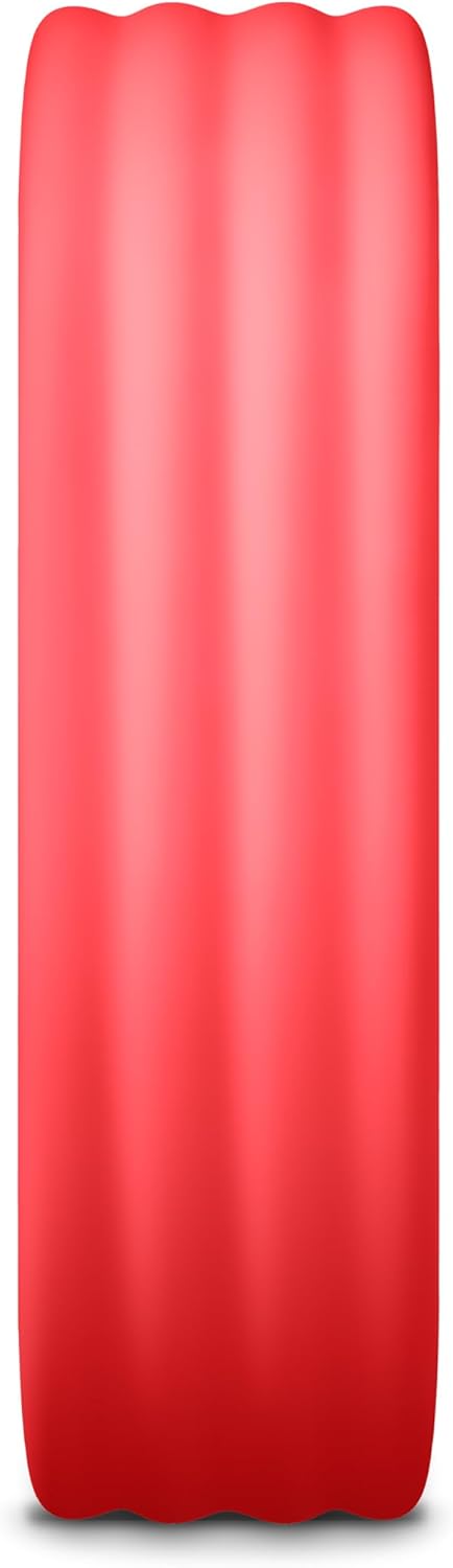 Google Fitbit Air - Screenless Activity Tracker with Fitness, Heart Rate, and Sleep Tracking - Works with iOS and Android - Obsidian + Fitbit Air Active Band - Berry, Small